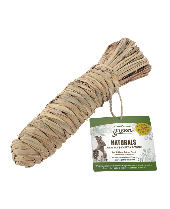 Living World Green Naturals Chew Toy – Carrot