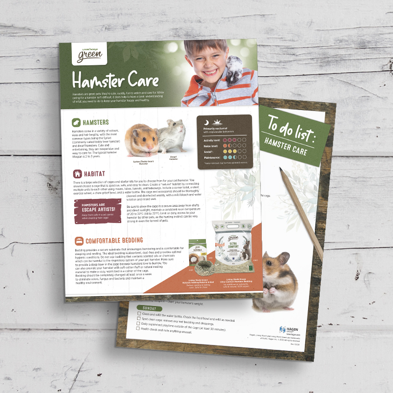 Hamster Care Sheet: Food, Habitat & Health