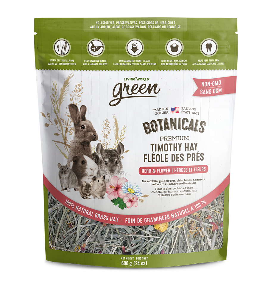 Living world pet supplies best sale